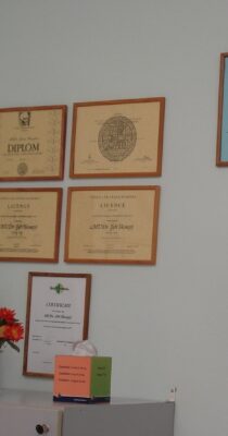 Obr&aacute;zek 5 z 11